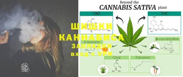 PSILOCYBIN Арсеньев